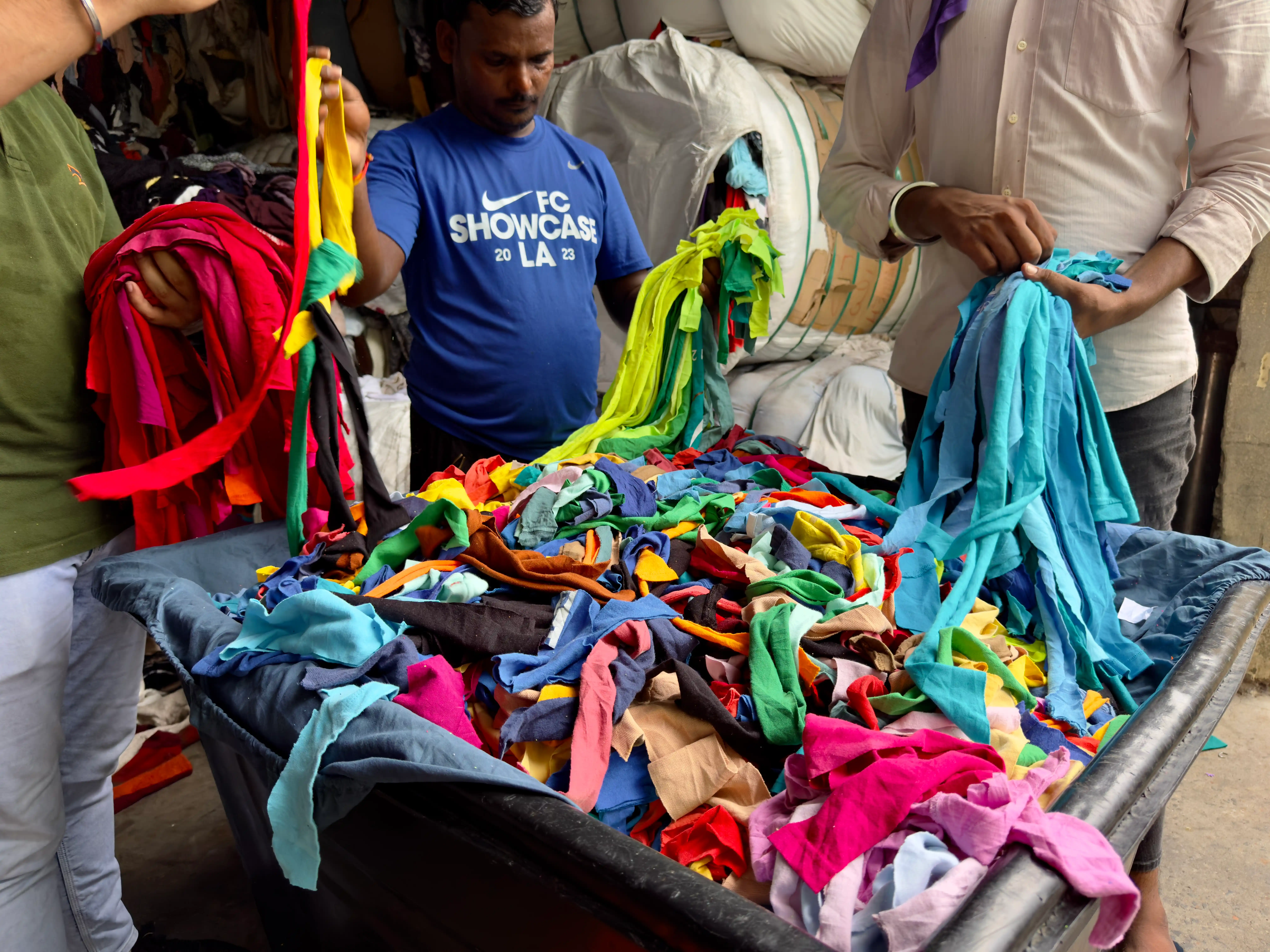 clippigs being sorted according to the color hues